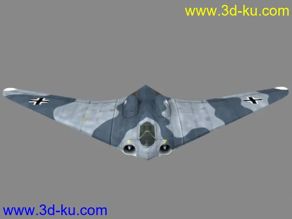纳粹德国未来战机ho-229模型的图片2
