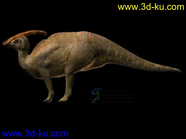 各种恐龙收集模型的图片3