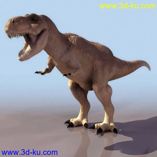 各种恐龙收集模型的图片6