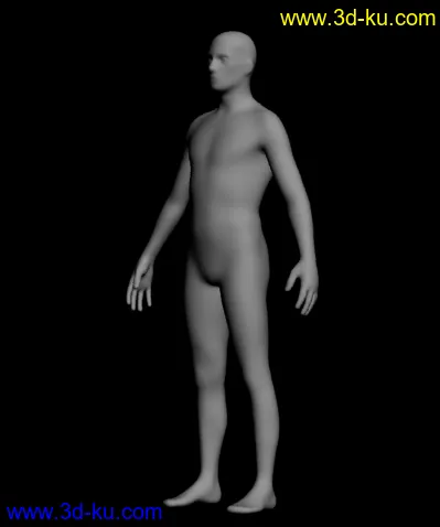 男人身体模型的图片1