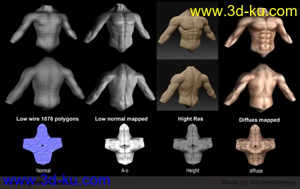 人体躯干模型的图片1