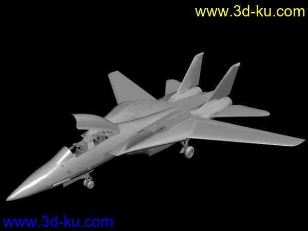 F-14 tomcat模型的图片1