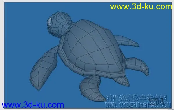 我的练习哈哈可爱的小海龟模型的图片2