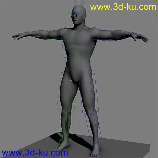 国外网站购得 角色模型 超标准男人体 完美UV 含max源文件，OBJ, FBX！！！的图片1