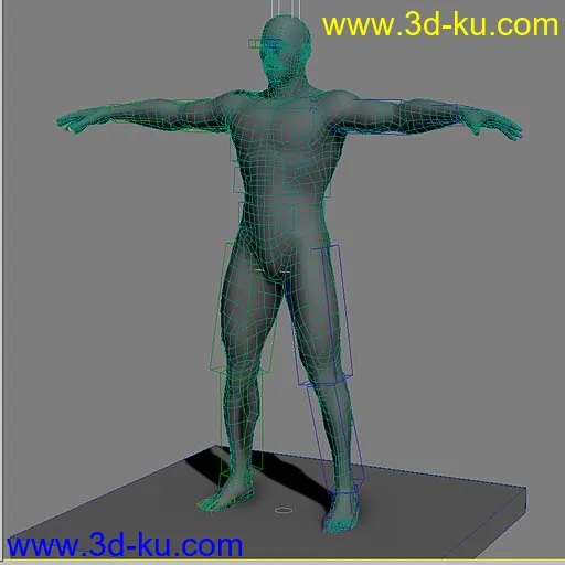国外网站购得 角色模型 超标准男人体 完美UV 含max源文件，OBJ, FBX！！！的图片2