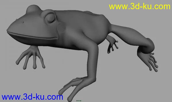 青蛙模型的图片1