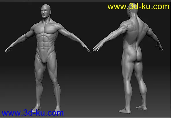 老外精细男性人体模型 ZTL OBJ的图片1