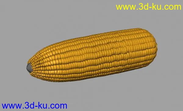 一个玉米模型的图片1