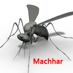 老外经典高精模型 Machhar的图片1