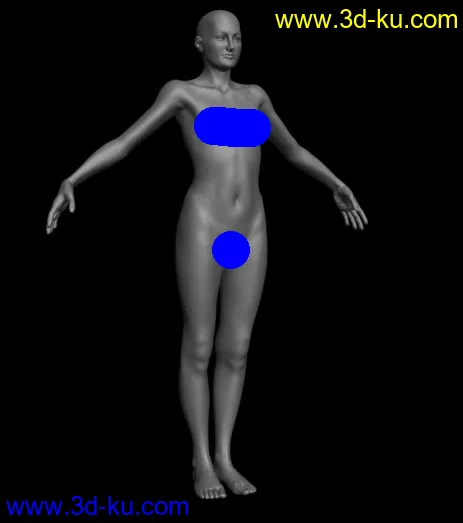基础人体模型的图片8