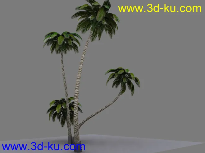 自己做的游戏椰树模型的图片2