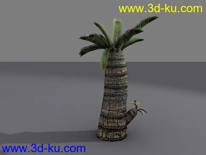 自己做的游戏椰树模型的图片4