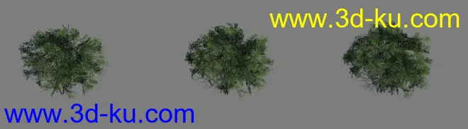 [精品]灌木_3级LOD模型_diffus+specular+normal+detail纹理的图片2