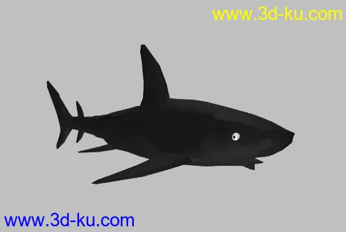 黑鲨模型的图片1