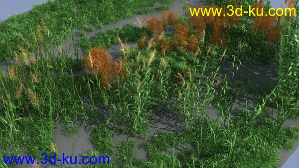 草与芦苇植物模型的图片1