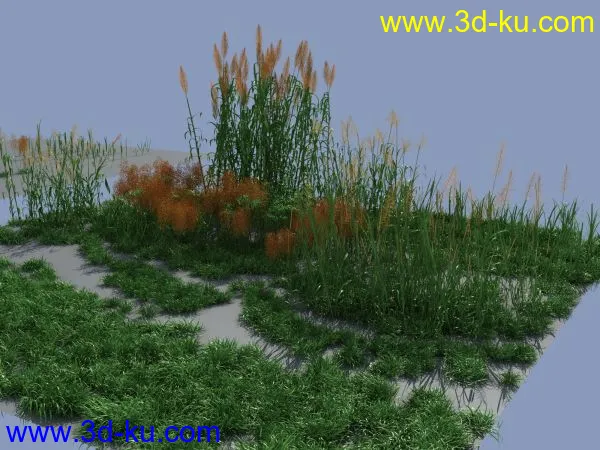 草与芦苇植物模型的图片3