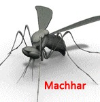 蚊子模型的图片1