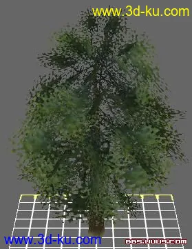 一些树模型的图片1