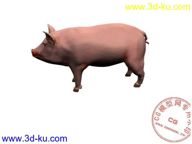 猪的模型下载的图片1