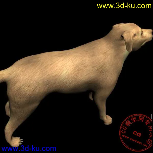 再发一只大黄狗模型的图片2