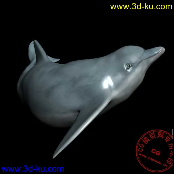很细致的海豚模型的图片1