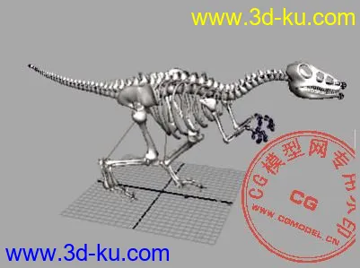 带骨骼的恐龙  希望大家喜欢模型的图片1