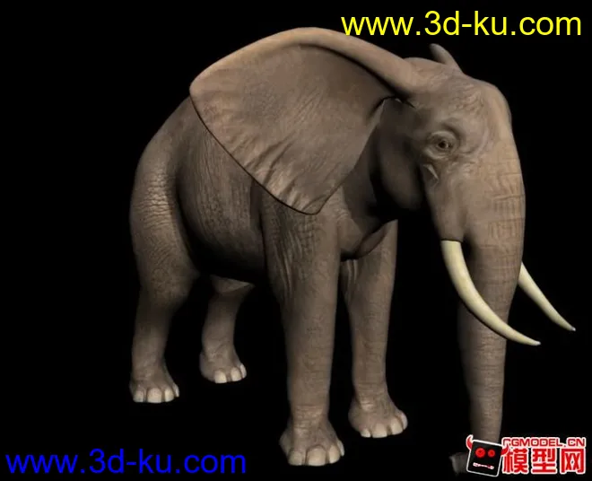 亚洲象~(MAX9)模型的图片1