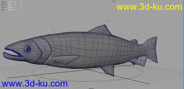 大马哈鱼模型的图片3