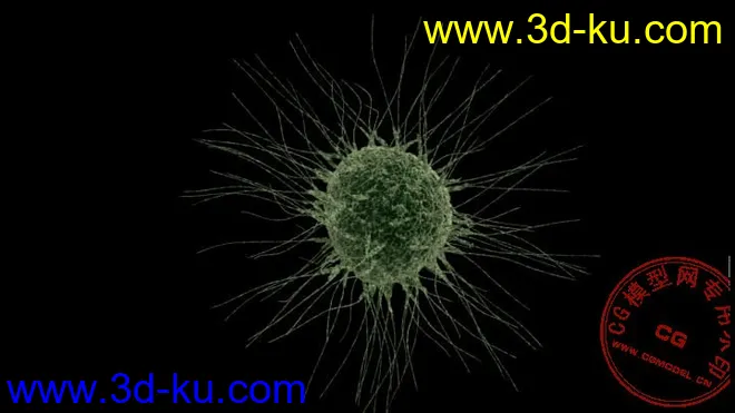 细胞模型,肿瘤细胞的图片1