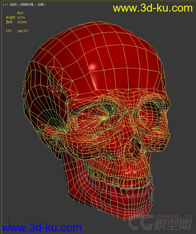头骨模型（附模型文件）的图片2