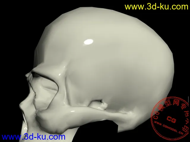 头骨模型（附模型文件）的图片4