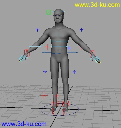 做的本人自己的写实人体模型，以绑定好，可直接用来K动画的图片1