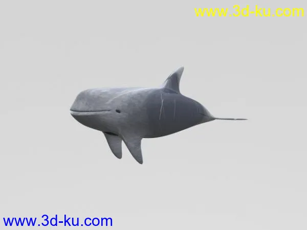 原創花紋海豚模型的图片1
