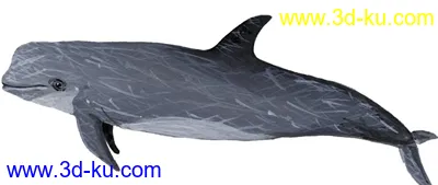 原創花紋海豚模型的图片2