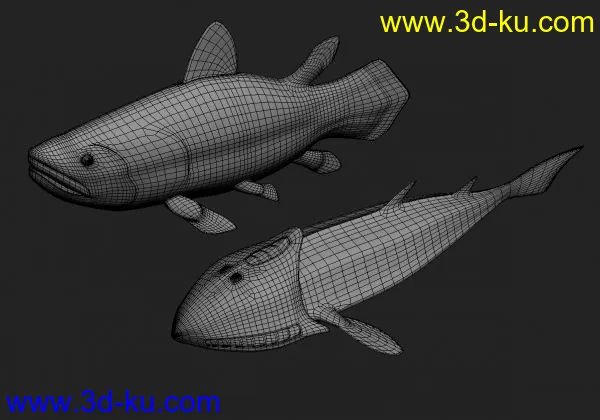 总鳍鱼模型的图片1