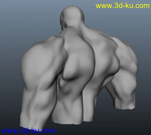 自己做的一个半身人物肌肉，第一次做，ZB原文件模型的图片2
