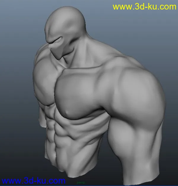 自己做的一个半身人物肌肉，第一次做，ZB原文件模型的图片3