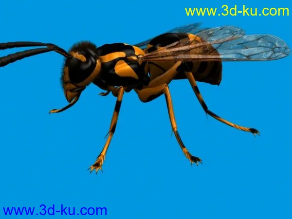 虎頭蜂昆蟲模型的图片1