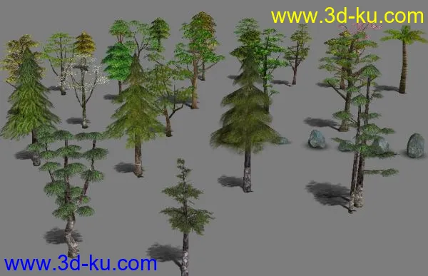 3d树木，适合各个角度观看。模型的图片1
