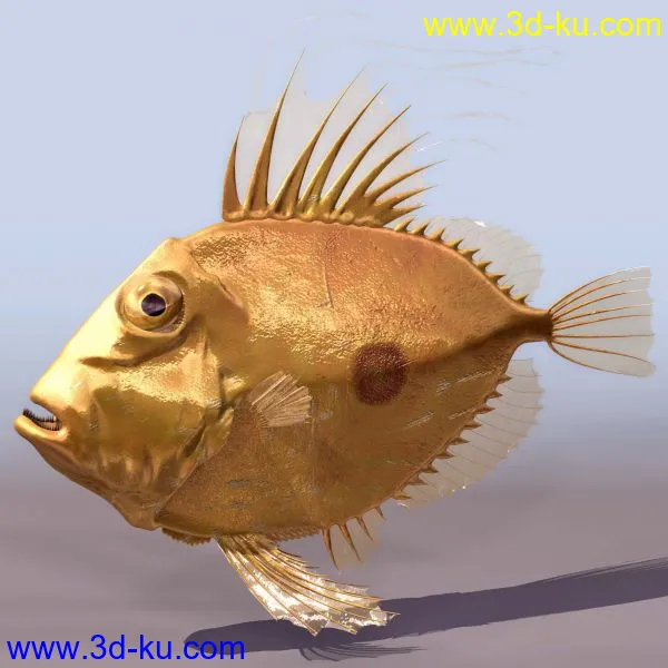 fish1模型的图片1