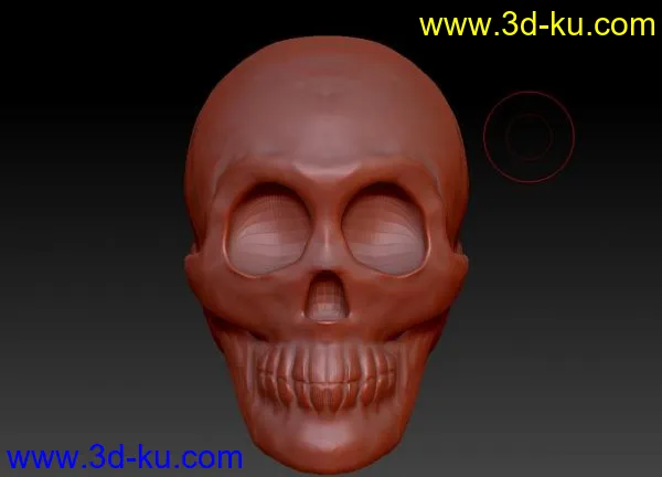 人头骨模型的图片1
