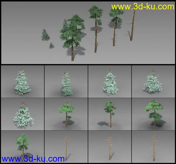 松树合集模型的图片1