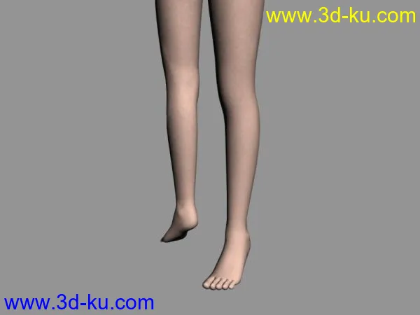 腿和脚模型的图片2