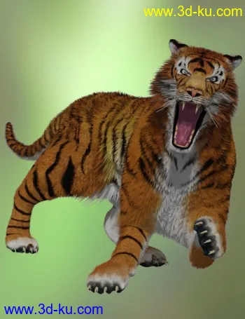 一个比较精细的老虎模型的图片2