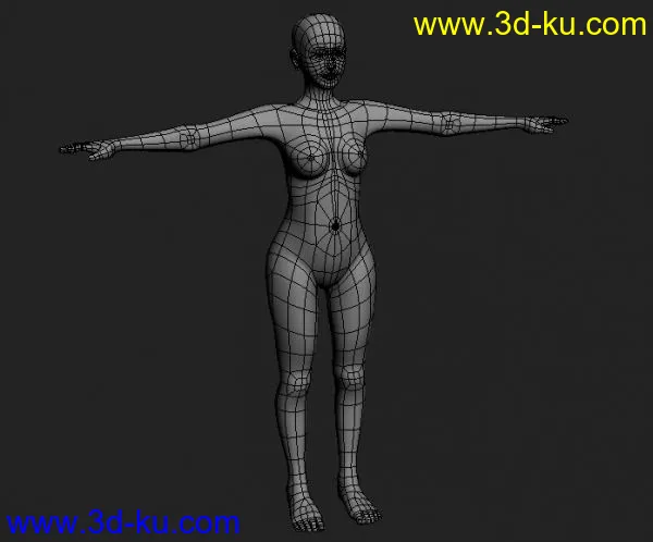 女人的身体模型的图片1