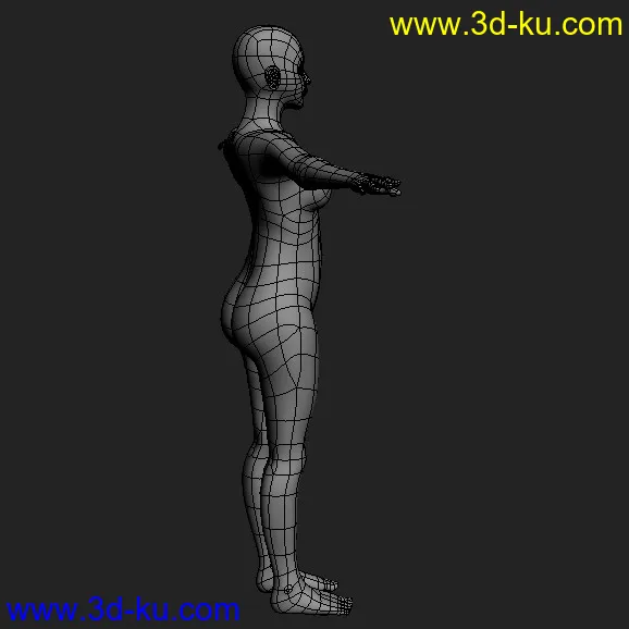 女人的身体模型的图片2