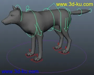 四足动物绑定模型的图片1