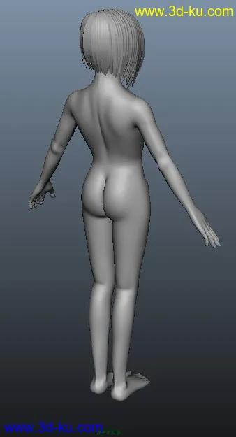 一个女人体模型的图片1
