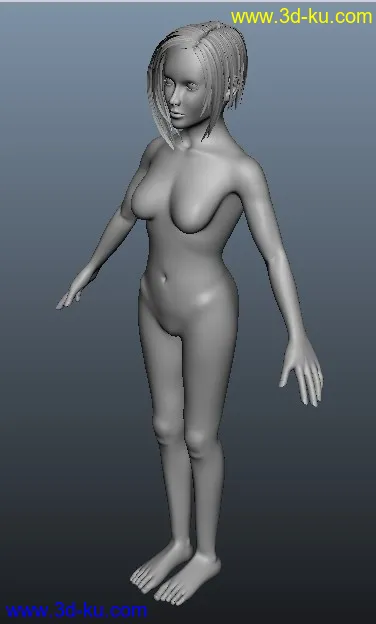 一个女人体模型的图片3