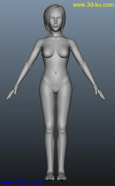 一个女人体模型的图片4